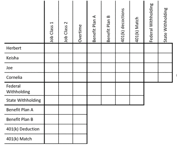 Payroll Systems – “If I’d known there was going to be math involved...”